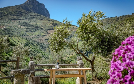 Look at the Tajo mountain (mid Spring photo)