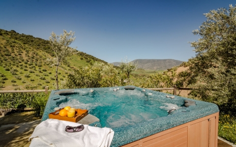 The unheated jacuzzi is lovely during the hotter months