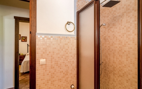 The main bathroom has a walk-in shower.