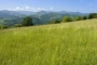Esta es una zona local, el País de la Sidra de Picos de Europa