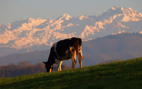 View of Picos de Europa 
