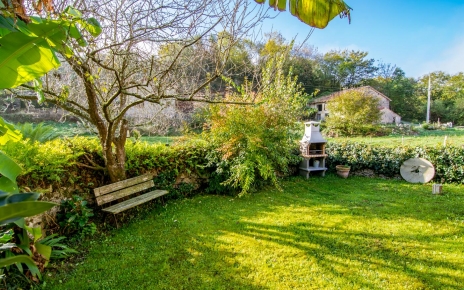 El banano crece en este jardín