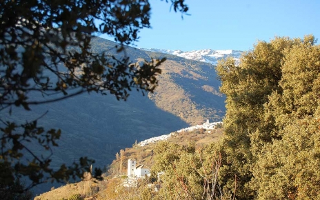 Alpujarra alta: un bonito día fuera