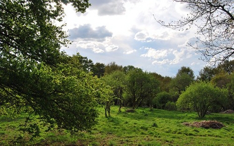 Galicia interior (Pontevedra)