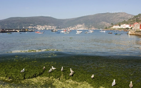 O Pindo: the sea beneath the mount