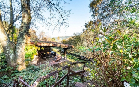 Steps down to barbecue area