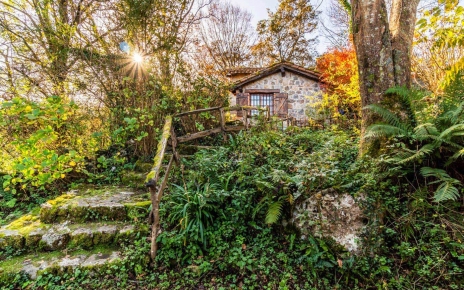 Steps down to barbecue area