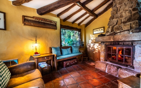 Living room and log fire