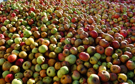 A strong cider culture