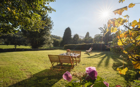 Still green after a dry summer