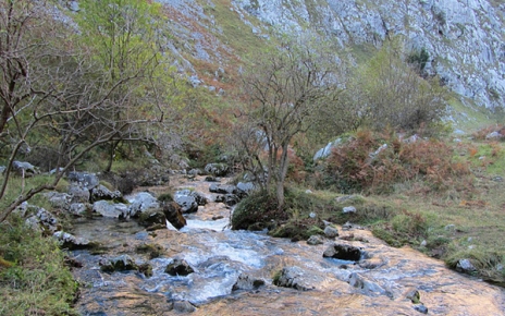 Rivers in Picos mountains