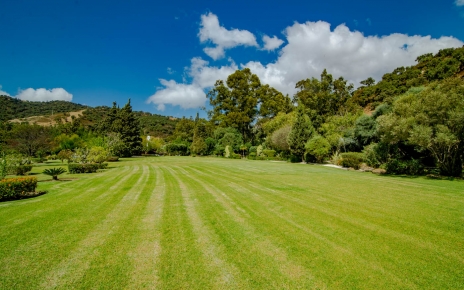 Jardines muy amplios con césped para que disfrutes