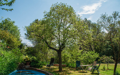 Relaxing surroundings