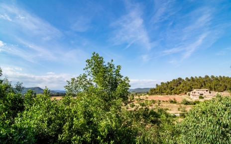 Looking to the north