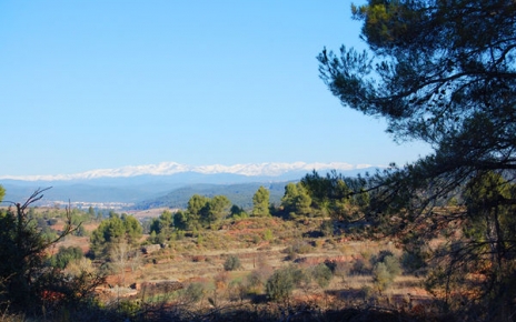 You can be at La Cerdanya in the Pyrenees in one hour