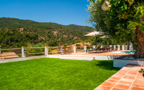 More terraces were added to gardens in 2019