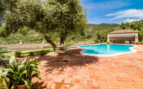 Large terraces all around swimming pool