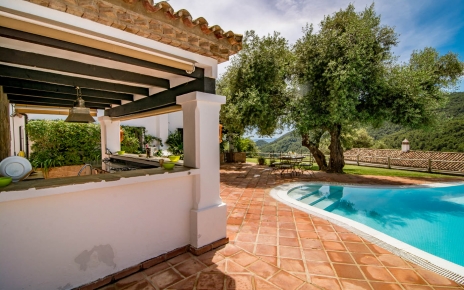 Pool bar next to swimming pool