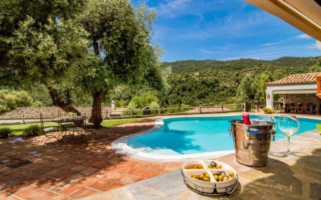 Pool seen from poolside kitchen / bar