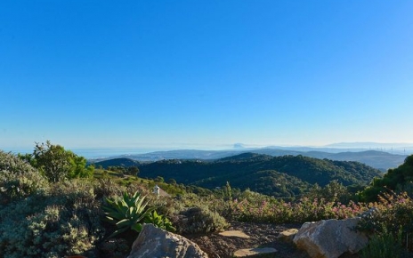 View from the garden