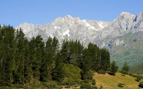 Picos de Europa