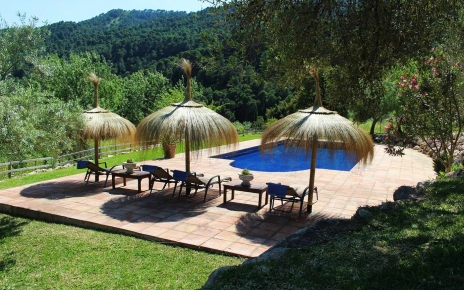 Jardines con bosques mediterráneos como telón de fondo