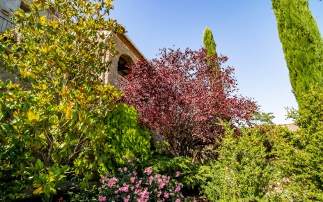 Jardines con mucha vegetación 