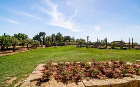 Jardines con césped