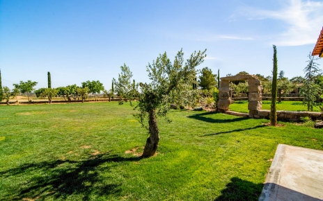 Grandes jardines privados en la parte trasera 