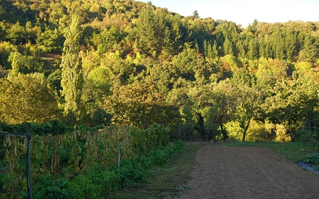 Fertile cultivated grounds in this sunny region