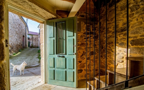 Friendly dogs hang around the little village