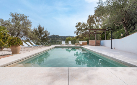 Private pool with bar