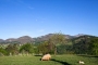 Property grounds with indigenous sheep