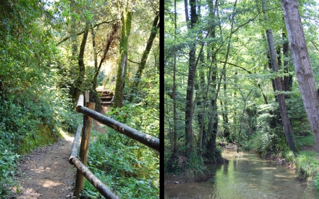 Rural Girona is thickly wooded