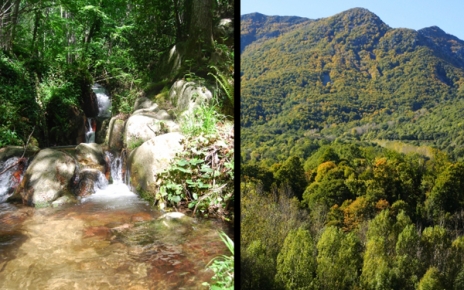 The Cascade Trek in the Montseny mountain range near Girona