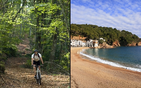 Rich forests with nearby unspoilt beaches