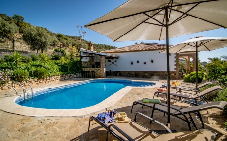 Parasols and sunloungers