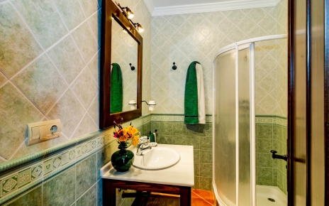 Bathroom with walk-in shower