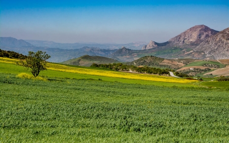 Your views to the west in Spring