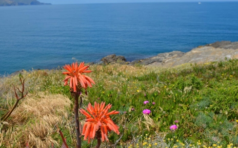Catalonia Mediterranean coast is only 40 mins away