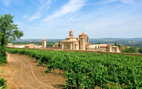 Great local walks though vineyards and monastirs (Cister route) 