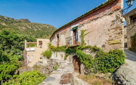 A historical 12th century house with gardens