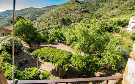 Your private garden is furnished for the season