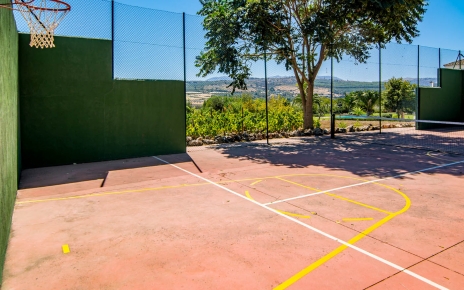 Paddle tennis and basketball