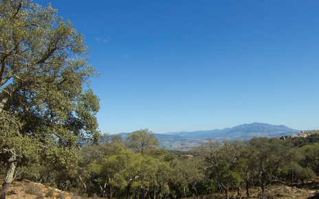 Explore the surroundings of your holiday home