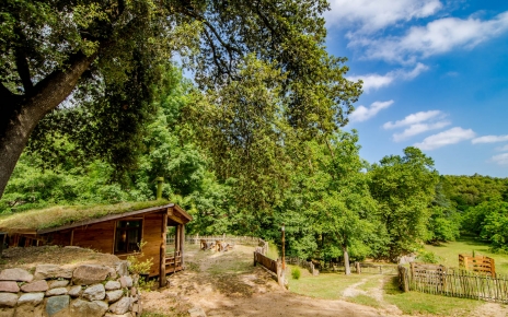 Su casita se encuentra en una ubicación privada, en una gran finca