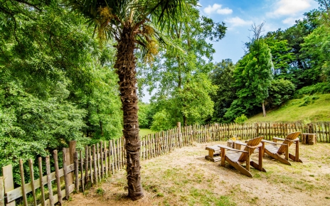 Vegetación por todas partes