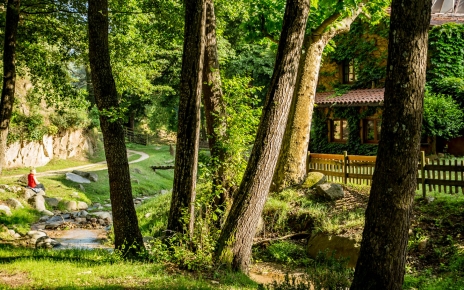 Dar un paseo por la finca