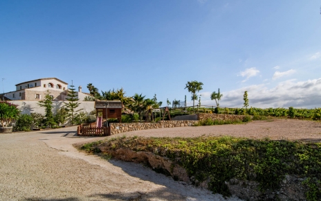 Al llegar a su propiedad vacacional conduciendo por viñedos