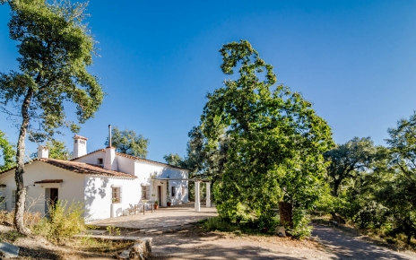 La propiedad tiene una sola planta